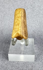Ancient Thule Inuit Alaskan Eskimo Tool