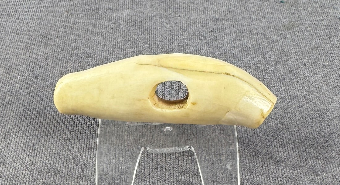 Ancient Thule Inuit Alaskan Eskimo Bear Toggle: Made from a bear tooth. Only for sale where legal. No International Sales. Know your own laws. No sales to Alabama, California, Florida, Georgia, Mississippi, Kentucky, Massachusetts, Nebraska, North 