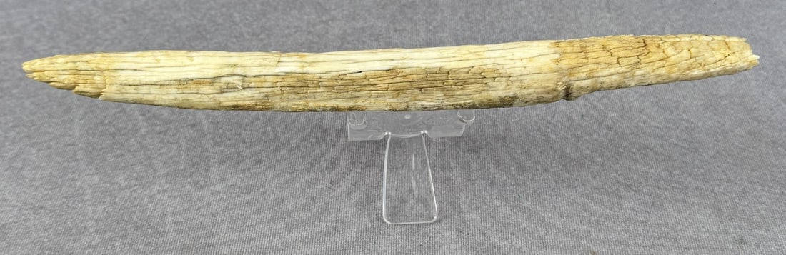 Ancient Thule Alaska Inuit Eskimo Sled Runner: 9 3/4" long. Carved walrus material. Native made prior to 1972. This item cannot be shipped to Oregon, California, Hawaii, New York, New Jersey, Internationally, or any other state that prohibits.