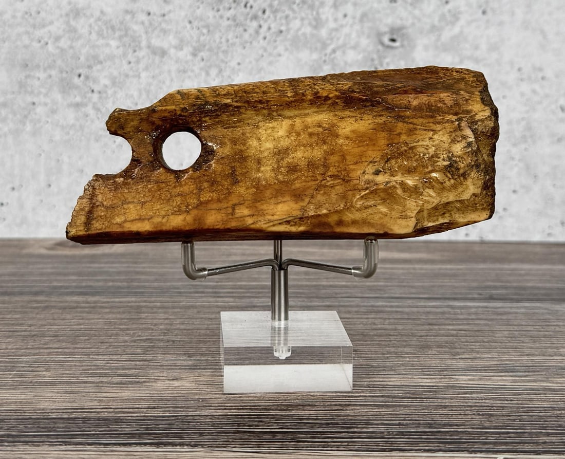 Ancient Thule Alaska Inuit Eskimo Sled Runner: 5 1/2" tall. Carved walrus material. Native made prior to 1972. This item cannot be shipped to Oregon, California, Hawaii, New York, New Jersey, Internationally, or any other state that prohibits.