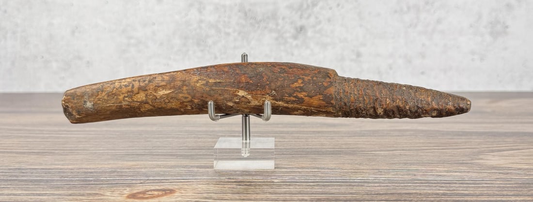 Ancient Thule Inuit Alaskan Eskimo Ice Probe: 10 3/4" long. Carved walrus material. Native made prior to 1972. This item cannot be shipped to Oregon, California, Hawaii, New York, New Jersey, Internationally, or any other state that prohibits.