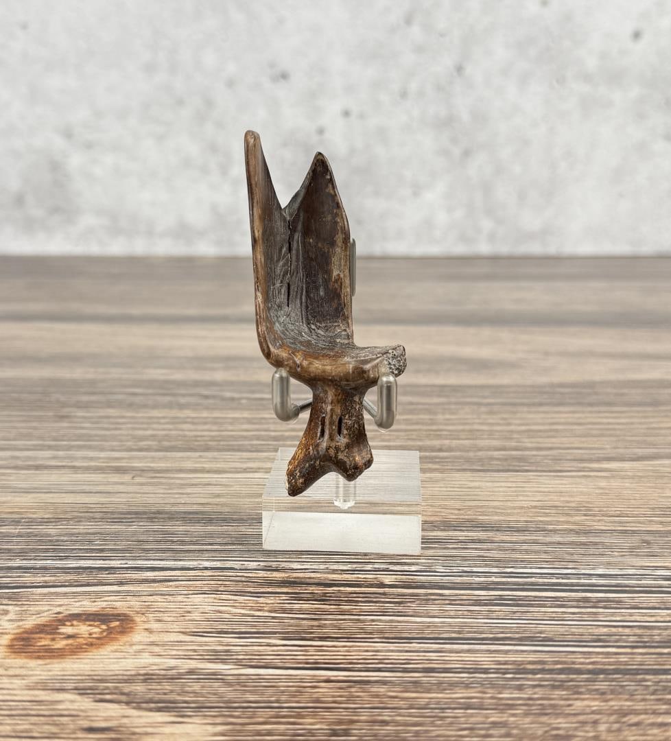 Ancient Thule Inuit Alaskan Eskimo Scoop Handle (1 of 3)