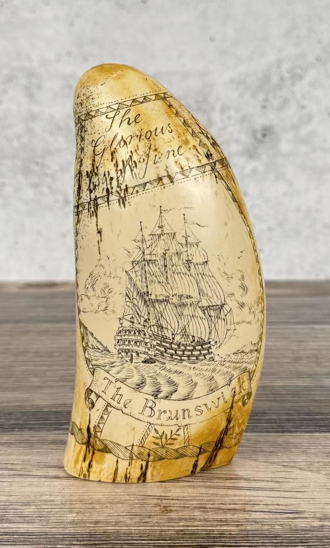 Resin Scrimshaw Whale Tooth: Reproduction. 5 1/2" tall.