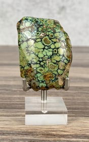 500ct Spiderweb Turquoise