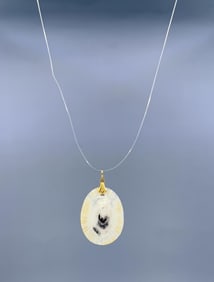 Hawaiian Limpet Shell Pendant