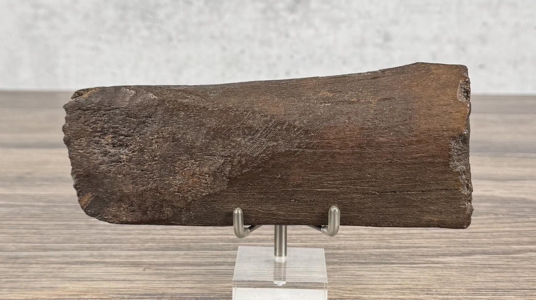 Ancient Thule Inuit Alaskan Eskimo Tool (1 of 4)