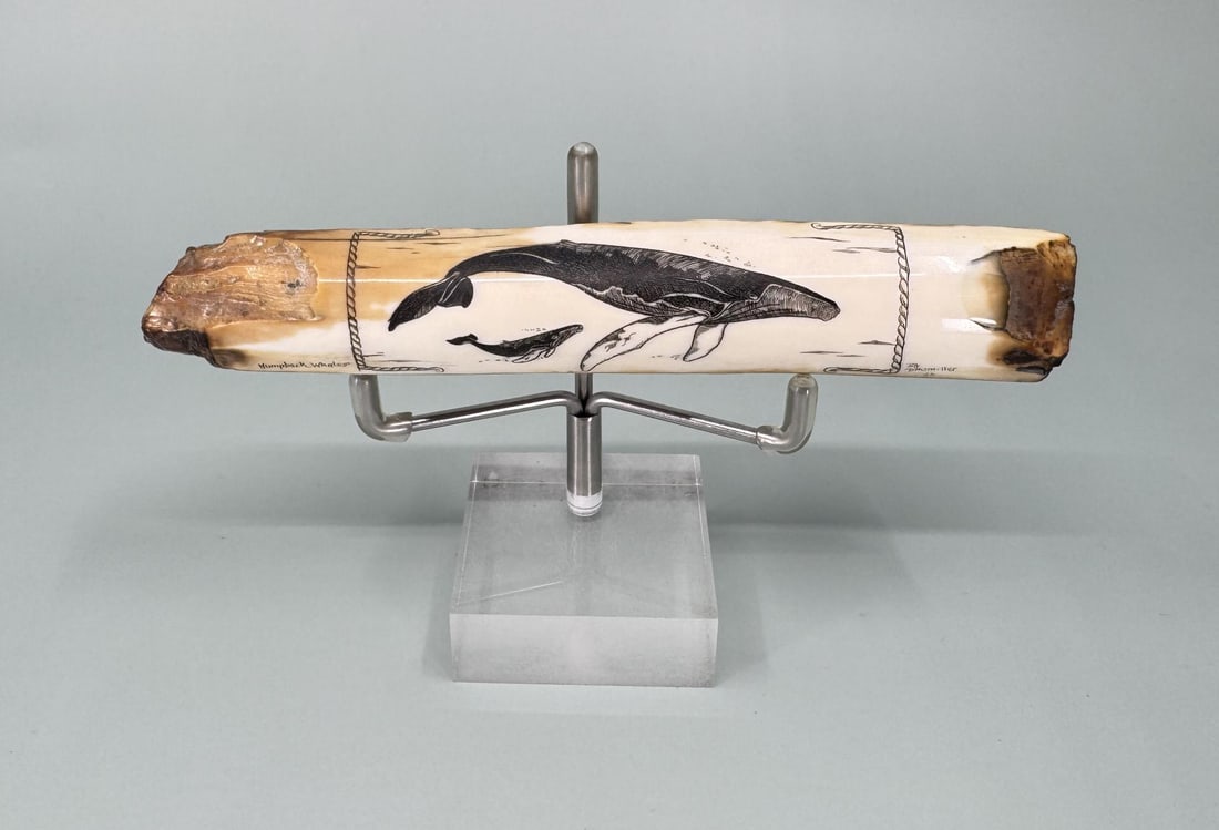 Daumiller Scrimshaw Alaskan Inuit Eskimo Artifact: 5 1/4" long. Carved walrus material. Native made prior to 1972. This item cannot be shipped to Oregon, California, Hawaii, New York, New Jersey, Internationally, or any other state that prohibits.