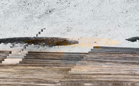 Ancient Thule Inuit Alaskan Eskimo Harpoon Point
