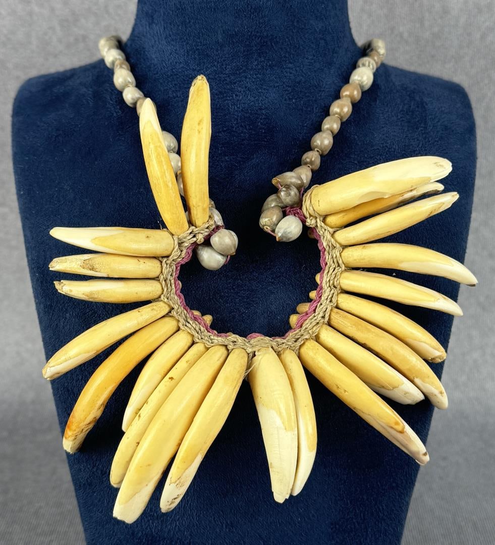 19th Century Fijian Whale Tooth Necklace: 13 1/2" long. Native made prior to 1972. This item cannot be shipped to Oregon, California, Hawaii, New York, New Jersey, Internationally, or any other state that prohibits.