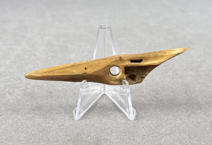 Ancient Thule Inuit Alaskan Eskimo Harpoon Point