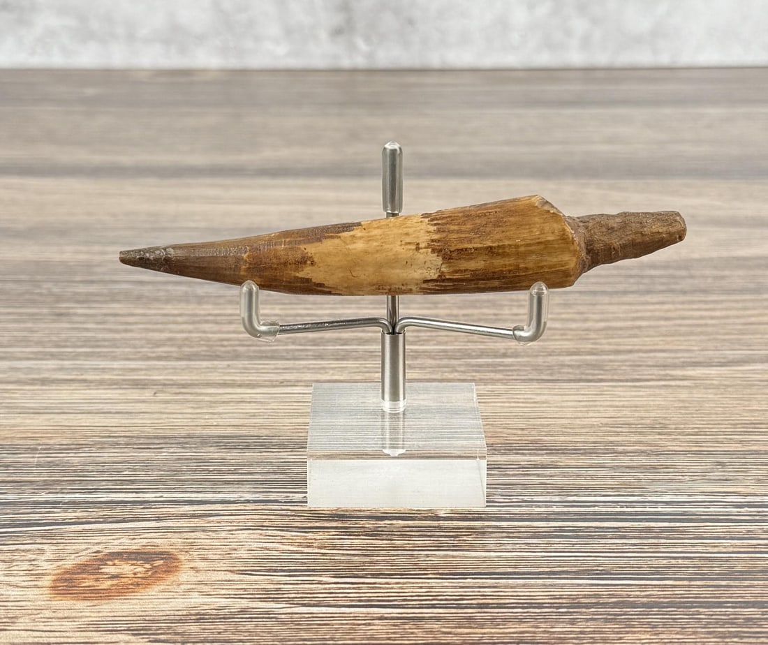 Ancient Thule Inuit Alaskan Eskimo Ice Probe: 5" long. Carved walrus material. Native made prior to 1972. This item cannot be shipped to Oregon, California, Hawaii, New York, New Jersey, Internationally, or any other state that prohibits.