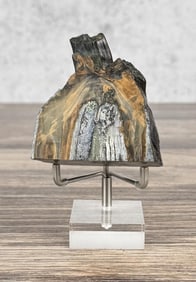Ancient Fossil Mammoth Tooth Segment