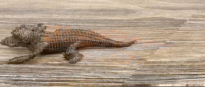 Cast Iron Alligator Paperweight