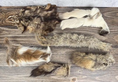 Group Of Assorted Animal Pelts & Skins