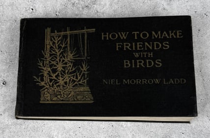 How to Make Friends with Birds