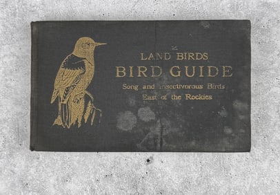 Land Birds Bird Guide