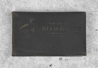 Water Birds Bird Guide