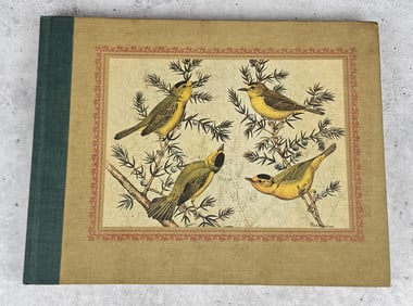 Rex Brasher's Treasury of Bird Paintings