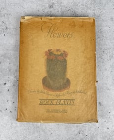 Flowers Rock Plants Hyperion Press