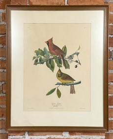 Cardinal Grosbeak John James Audubon Print