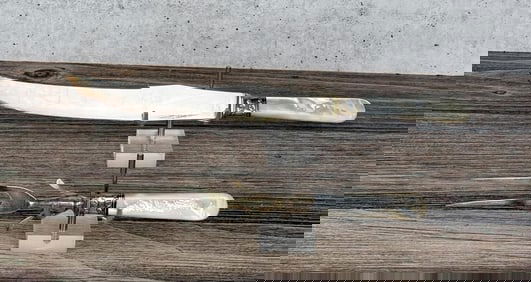 Sterling Silver Mother of Pearl Handle Carving Set
