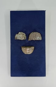 Anaconda Copper Company Montana Button Ingot