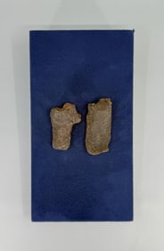 Anaconda Copper Company Montana Ingot