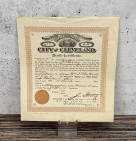 1874 Cleveland Ohio Meningitis Death Certificate
