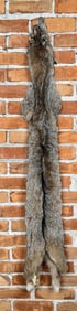 Beautiful Alaskan Lynx Fur Pelt Taxidermy