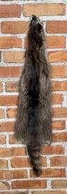 Montana Taxidermy Raccoon Pelt Hide