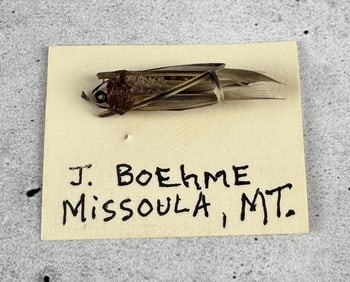 Jack Boehme Missoula Montana Fishing Fly