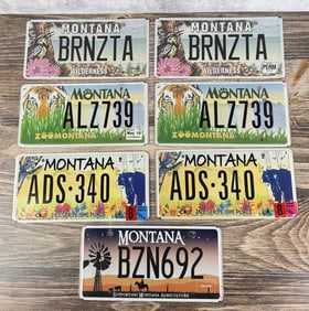 Collection of Montana License Plates