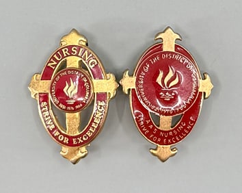 University District of Columbia Nursing Pins