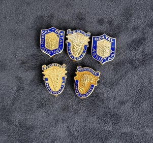 Collection of Medical Title Award Pins