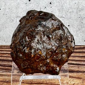 Sikhote-Alin Russian Meteorite