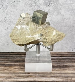 Pyrite on Basalt Navajun La Rioja Spain Specimen
