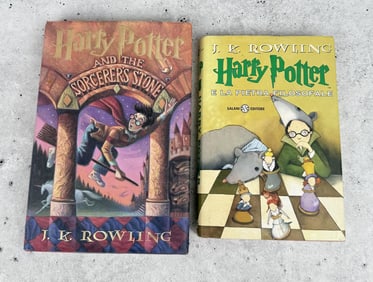 Harry Pottery and the Sorcerers Stone