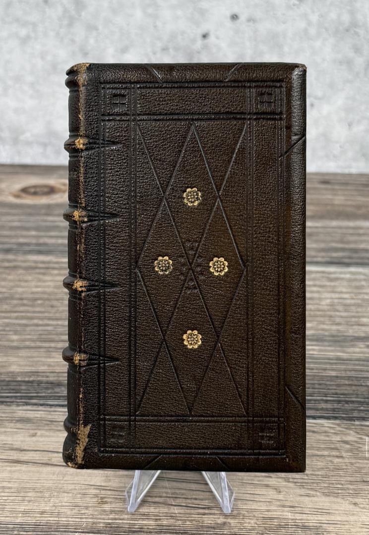 Reynard the Fox (1 of 12)