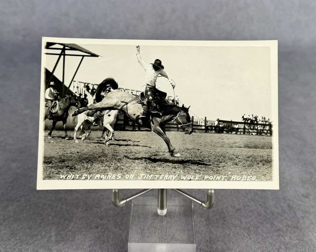 Wolf Point Rodeo Montana RPPC Postcard: Whitey Raines on Jim Terry. Doubleday Photographer.