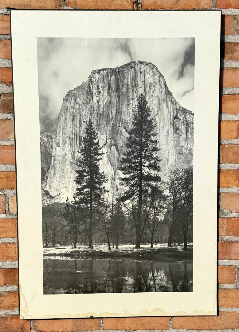 Yosemite National Park Photo on Board: 24" by 36"