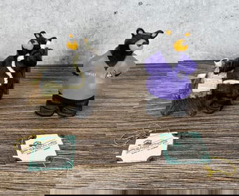 Big Sky Carvers Bearfoots Bears