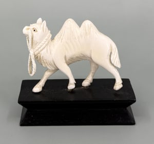 Camel Montana Residents Only