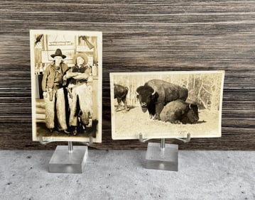 Cowboys and Buffalo RPPC Postcards
