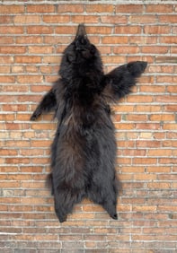 Large Idaho Taxidermy Black Bear Hide