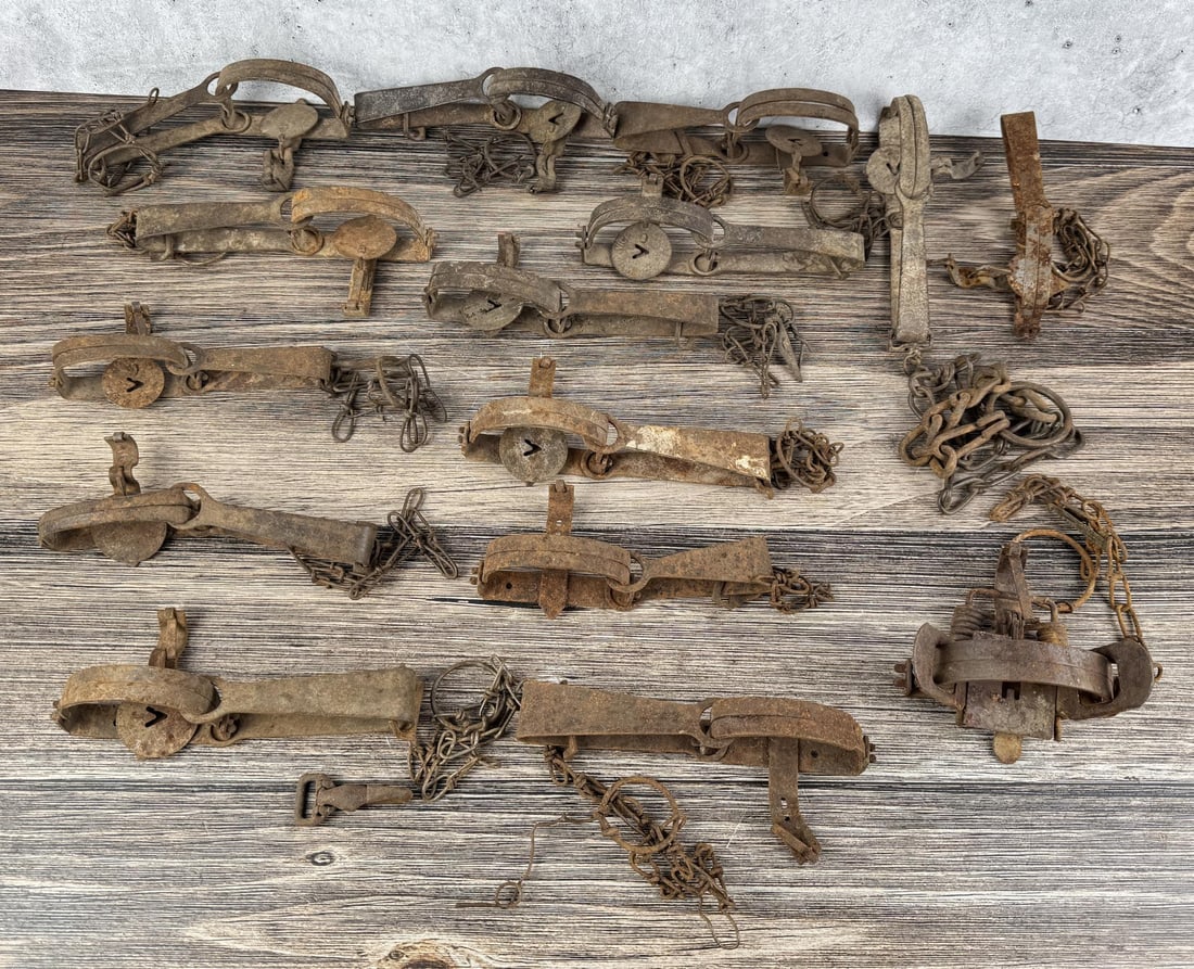 Montana Ranch Used Victor Animal Traps: Nice grouping