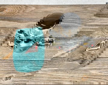 Coleman Peak 1 Model 229 Dual Fuel Camping Lantern