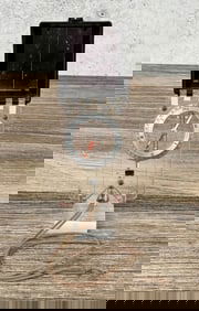 Silva The Ranger 15T Compass