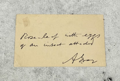 Asa Gray American Botanist Signature