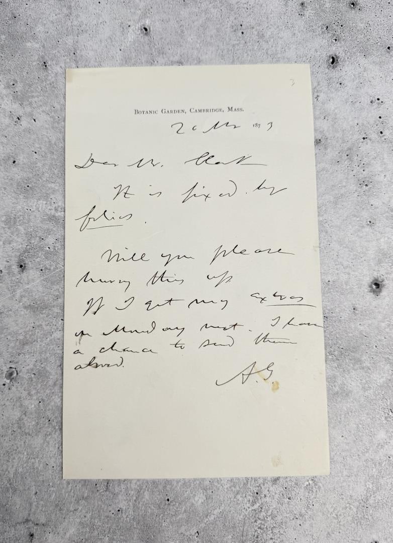 Asa Gray American Botanist Letter (1 of 4)