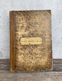 Menthae Britannicae Sole's British Mints